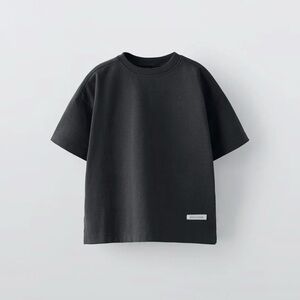 Zara 2T t-shirt